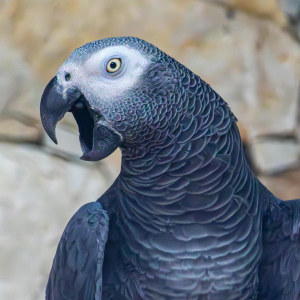 Projekt bez nazwy Projekt bez nazwy