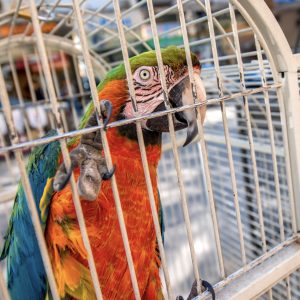 Projekt bez nazwy – 1 Projekt bez nazwy - 1