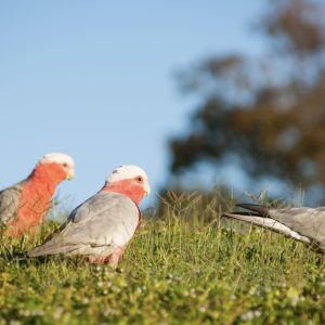 Projekt bez nazwy – 1 Projekt bez nazwy - 1
